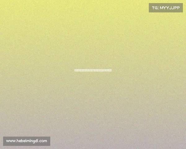 综合格斗巅峰之战拳拳到肉热血舞台见证王者荣耀崛起