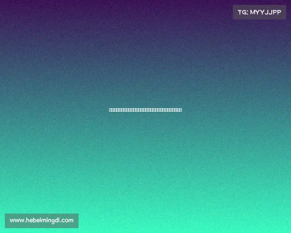 香港越野赛事山海挑战之旅探索自然奇景勇攀高峰创造跑者非凡回忆